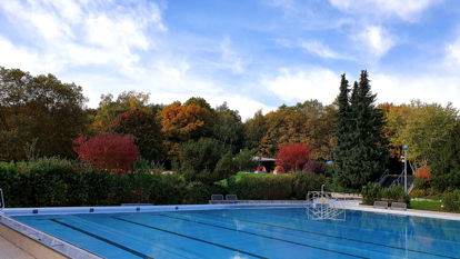 Schwimmbecken mit Wald im Hintergrund